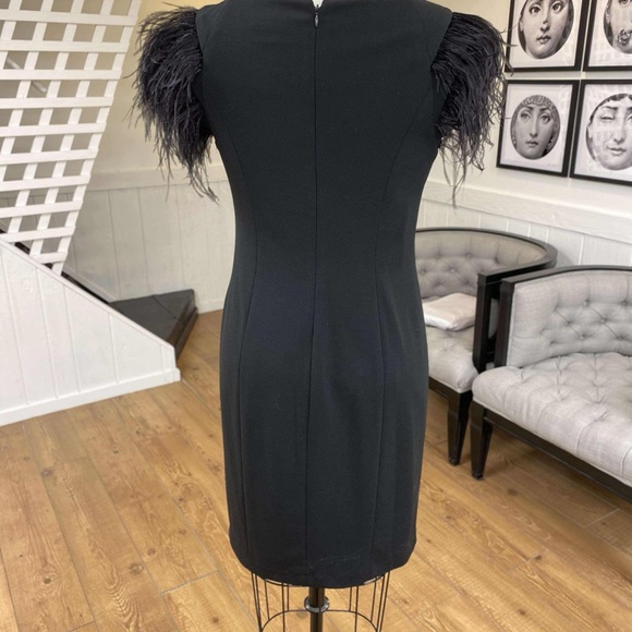 Elegant Black Dress with Feathered Sleeves - Picture 3 of 7